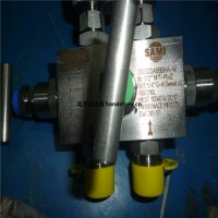 WIKA-0009 溫度監視器TM73.03+821.12