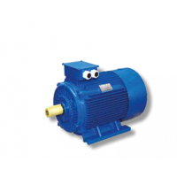 Motovario三相和三相制動電機