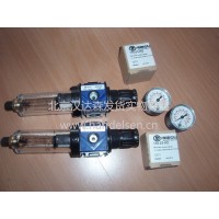 riegler節流止回閥106875