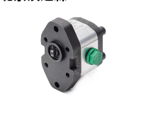 ROQUET鐵鑄齒輪泵1PNA54J11型號 ROQUET鐵鑄齒輪泵1PNA54J11型號