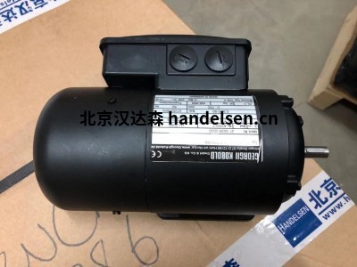 Georgii Kobold電動(dòng)機(jī)系列介紹