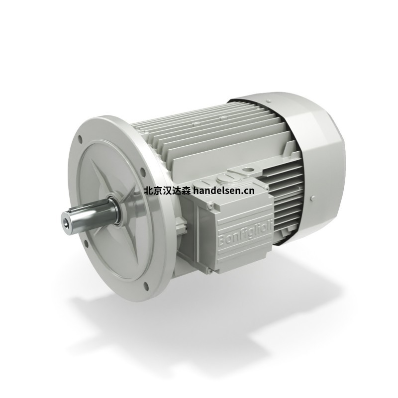 意大利邦飛利BONFIGLIOLI減速機 意大利邦飛利BONFIGLIOLI減速機