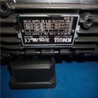 德國KNOLL主軸泵KTS-25-50-F-G 價格優勢 貨期短 原裝正品