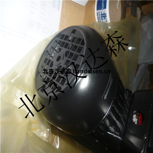 Brinkmann潛水泵 Brinkmann潛水泵