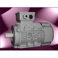 AC-MOTOREN循環電機