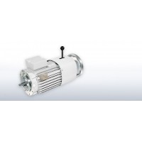 VEM原裝進口電機優勢提供