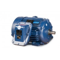 CEMP防爆電機(jī)IEC防爆電機(jī)、帶制動(dòng)器的IEC防爆電機(jī)