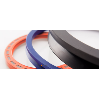 漢達森專業銷售意大利FPParis油封 密封