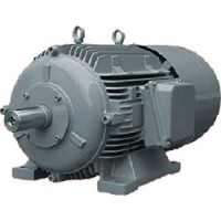 德國WINKELMANN發電機IP 23