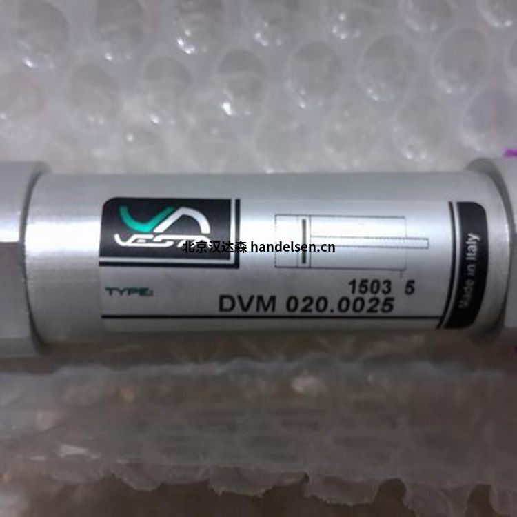 意大利維斯塔Vesta氣缸認可型號RWS 100.0050 意大利維斯塔Vesta氣缸認可型號RWS 100.0050