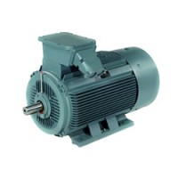 荷蘭DUTCHI鑄鐵電機DM1優勢供應