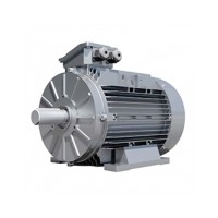 英國DUTCHI MOTORS交流電機IE1優勢供應