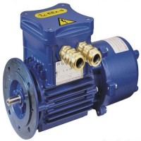 CEMP-原裝進口-IEC 無火花和防塵電機-根據標準