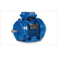 CEMP-安全區域電機型號齊全