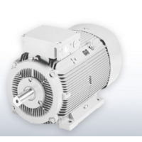 德國VEM滑環感應電動機S11R132 – 315