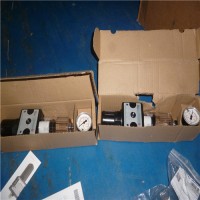 德國Riegler壓力調節器DRV 250