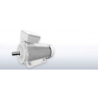 德國進口原廠VEM 低電壓 燃氣發動機