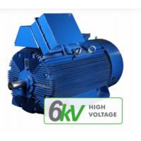 CANTONI 高壓電機產品介紹