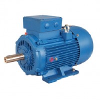 Electramo 雙速三相交流電機MSG802-4/6