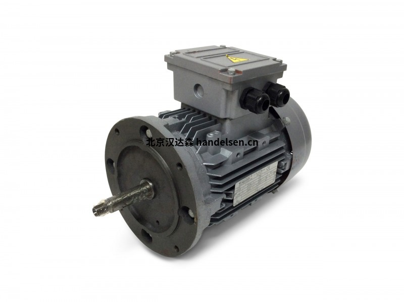 Electramo IE4超高效率三相電機