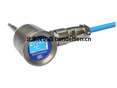 德國gruenewald  MAGIN-Ex 系列測量設備 體積流量可配備發光顯示器