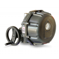 VALPES 電動執行器 LT75.90B x .G00 專為低溫環境設計