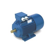 OEMER 永磁三相同步電機(jī)效率IE4 QS系列 意大利原廠(chǎng)授權(quán)