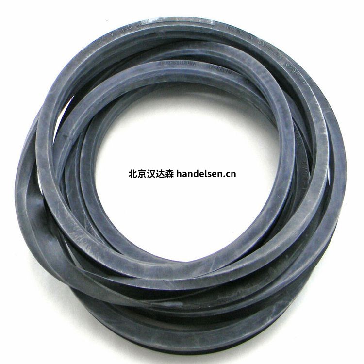 Forsheda丁腈橡膠 材質密封圈TRA B00170-VCBVR