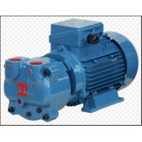 Pompetravaini液環真空泵TRH 32-60