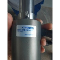 德國rogatti平面聯軸器NW5-G1/8 FF用于食品加工行業