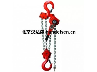 Haklift電動環鏈葫蘆 SKTH500MINI CE標志