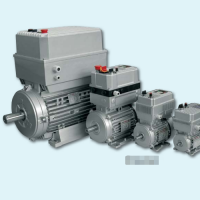 意大利Tramec直流電機GP系列型號參數介紹GP45.70