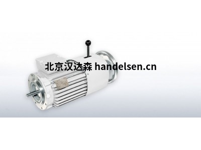 VEM緊湊型驅動器滑環感應電機系列