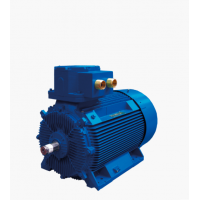 Marelli Motori 是電機和發電機的領先制造商，適用于多種工業領域