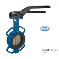 EFFEBI 蝶閥，帶手動(dòng)控制的減速器，即使是小DN