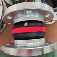 德國Elaflex 不銹鋼膨脹節 ERV-GR 65.16 VSD