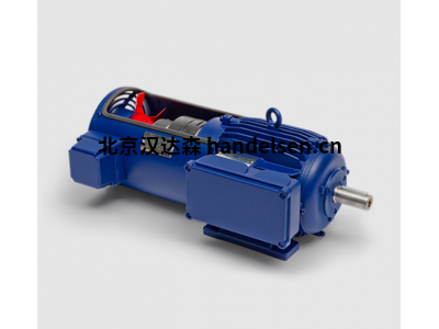 BIRKENBEUL 8APE100L-4K型4極1800轉三相電機