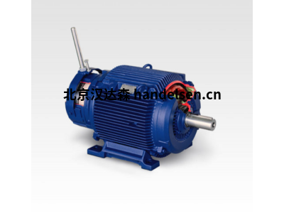 BIRKENBEUL 8APE112M-6K型1200轉60Hz三相電機