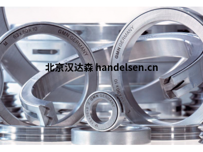 GMN L 15 x 26 x 8 301171迷宮式金屬密封件