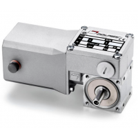 Mini Motor 蝸輪蝸桿直流減速電機(jī)BC2000-24MP，永磁直流電，全封閉