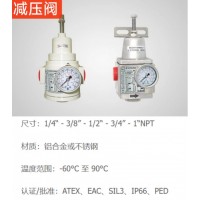 Sitecna 減壓閥，為廣泛的應用提供了極好的調節，堅固和腐蝕