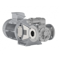 Johnson Pump 內嚙合齒輪泵，適用于中等粘度、清潔和非磨蝕性液體