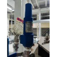 德國(guó)LESER 4592.2472安全閥用于食品、飲料和制藥行業(yè)使用