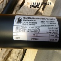 德國Hahn Gasfedern不銹鋼拉伸彈簧G08-19ST-28995國內現貨