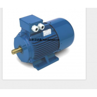 意大利 OEMER 異步電機(jī) MTES3 系列：高效驅(qū)動(dòng)，賦能工業(yè)新動(dòng)能