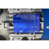 意大利M.T. Motori 電機(jī)TFP71B交流電運(yùn)行 帶有雙制動(dòng)面盤