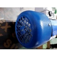 意大利M.T. Motori 電機(jī)TF100 4P KW3帶直流制動(dòng)和三相強(qiáng)制通風(fēng)