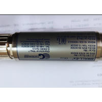 德國Grunewald液位測量儀SMALL-P/RG/12