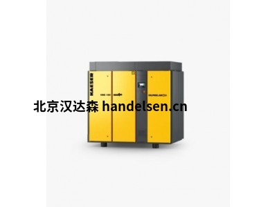 德國Kaeser干式螺桿壓縮機CSG 125 A風冷式高效節能