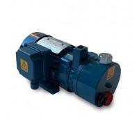 BVL 2 潤滑真空泵